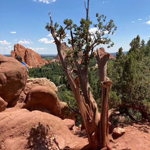 Meet your Posher, Eileen - Picture 1 of 1